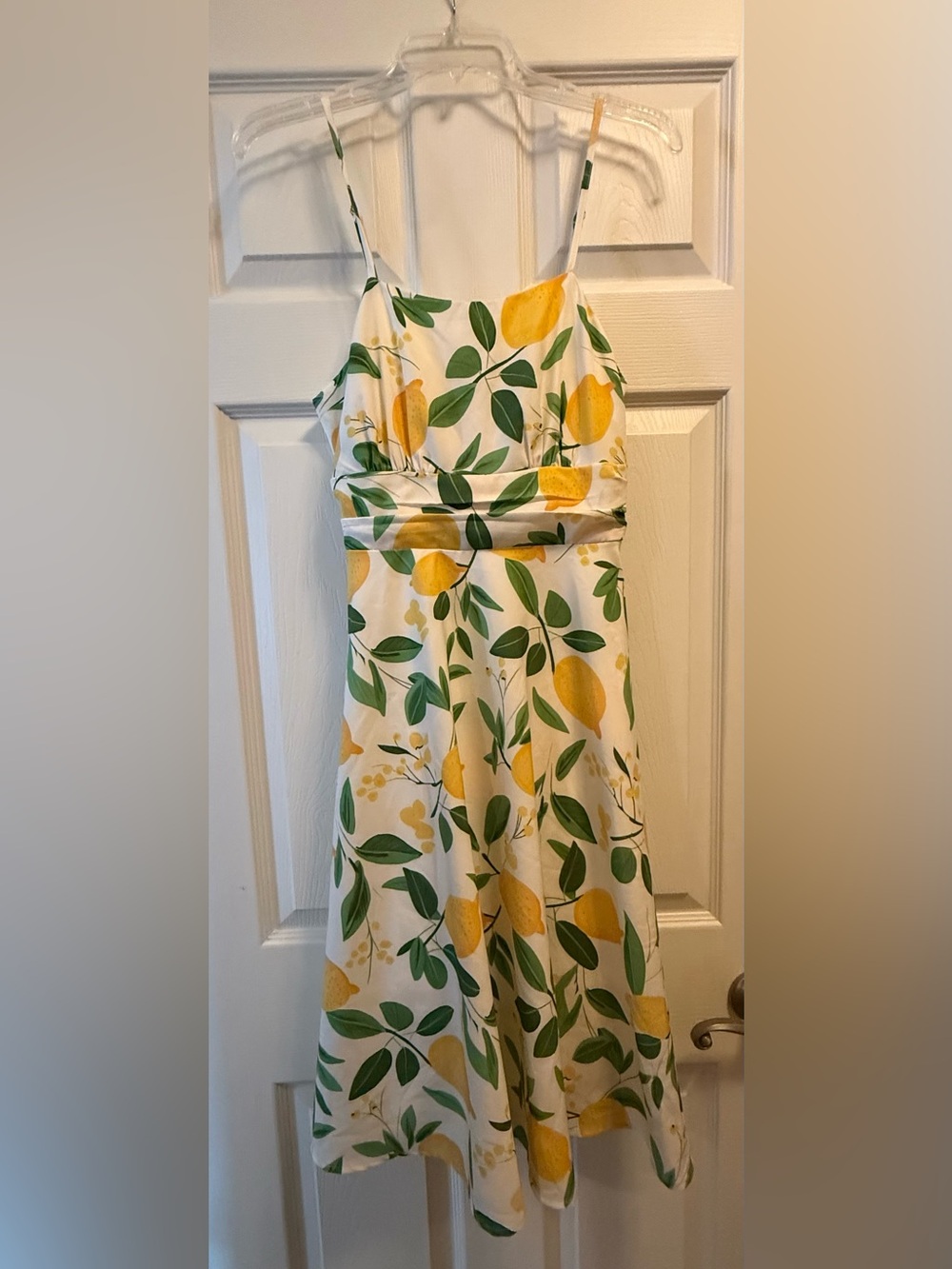 Belle Poque size small White Lemon Print A-Line Dress